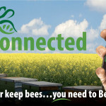 Una nuova app per l'apicoltura.
