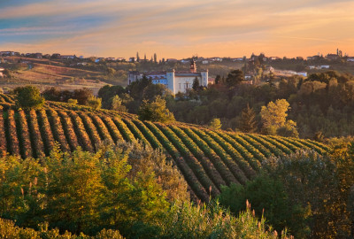 Una vetrina per il settore vitivinicolo italiano