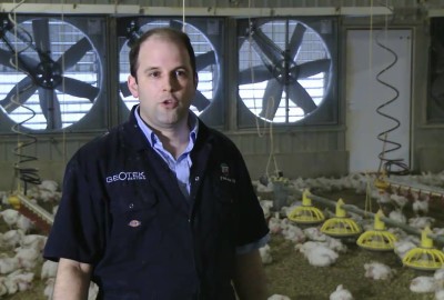 La realtà virtuale per monitorare il pollame