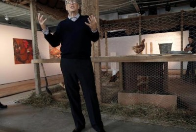 Bill Gates ha deciso di donare centomila pulcini per sostenere l'avicoltura africana.