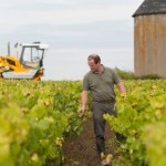 Con il programma Déphy, gli agricoltori francesi cercano di azzerare il ricorso ai pesticidi.