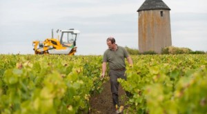 Con il programma Déphy, gli agricoltori francesi cercano di azzerare il ricorso ai pesticidi.