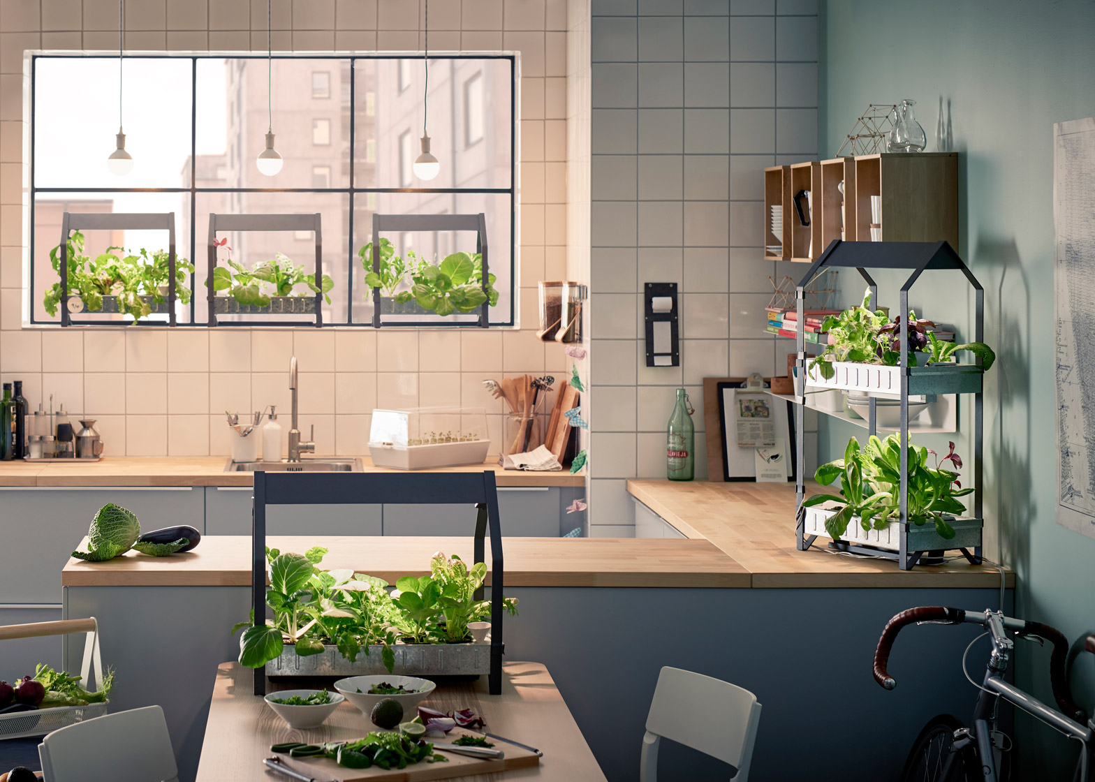 Ikea è pronta a lanciare sul mercato una nuova serie di prodotti per la coltivazione idroponica.