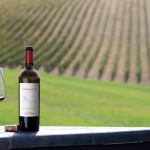 I produttori di Morellino di Scansano hanno deciso di applicare nuove tecnologie smart al processo di vinificazione.