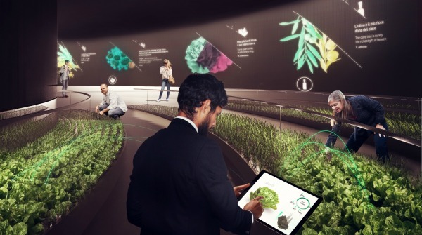 Nel nuovo Fico Eataly World di Bologna sarà possibile coltivare una pianta grazie ad un'app connessa ad internet.