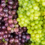 La Puglia è regione leader nella produzione di uva da tavola.